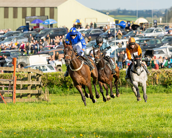 Race 7 - Maiden  (59 of 113)