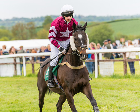 Race 7 - Veteran Horse conditions (73 of 244)