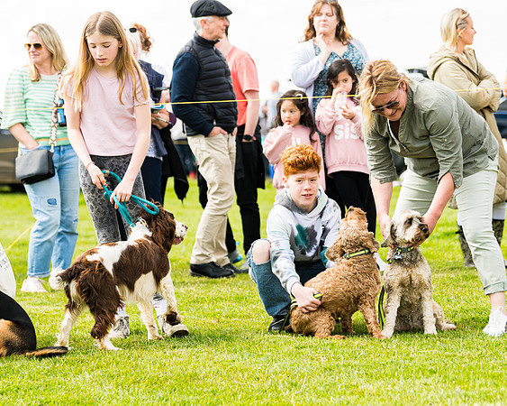 Dog show etc (44 of 157)