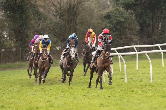 Race 1 - Young Horse Maiden (10 of 50).jpg