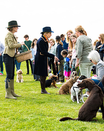 Dog show etc (111 of 157)