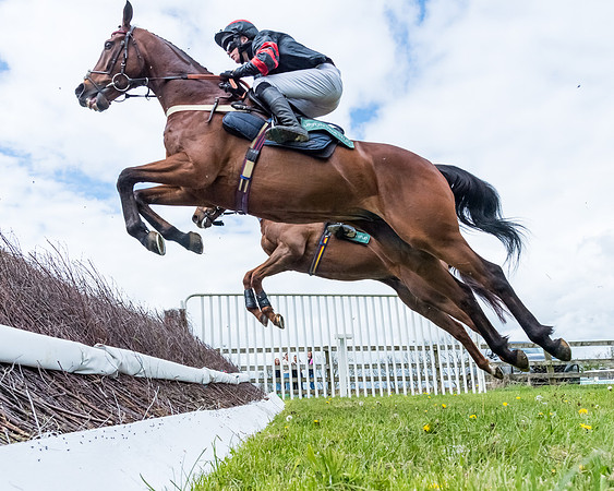 Race 2 - ROR and veteran Horse Conditions race (12 of 77)