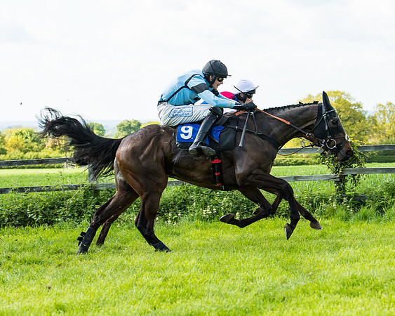 Race 5 - 2m5f Maiden (93 of 144)