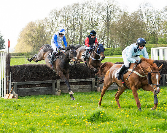 Race 2 - Veteran Horse  (67 of 82)