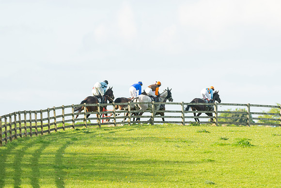 Race 7 - Maiden  (49 of 113)