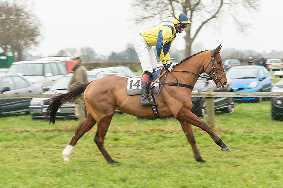 Race 2 - The Intermediate Race (5 of 78).jpg
