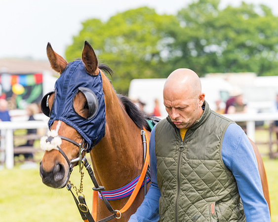 Race 2 - Owner-Trainer Conditions  (6 of 208)