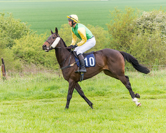 Race 6 - Maiden (4 of 129)