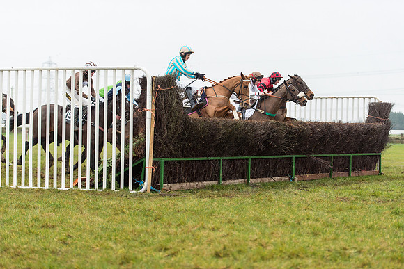 Race 6 - Open Maiden Race Div 1  (53 of 90).jpg