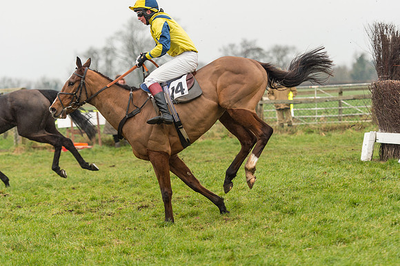 Race 2 - The Intermediate Race (63 of 78).jpg