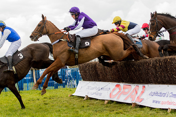 Race 2 - Novice and Veterans   (56 of 101).jpg