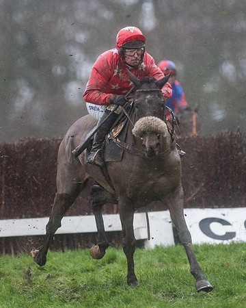 Race 7 - Open Maiden DIvision 2  (83 of 131).jpg