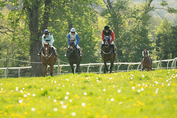 Race 2 - Veteran Horse  (46 of 82)