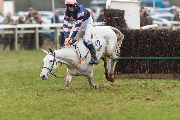 Race 6 - Open Maiden Race Div 2  (88 of 118).jpg