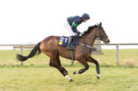 Race 6 Div 2 - Open Maiden  (23 of 131).jpg