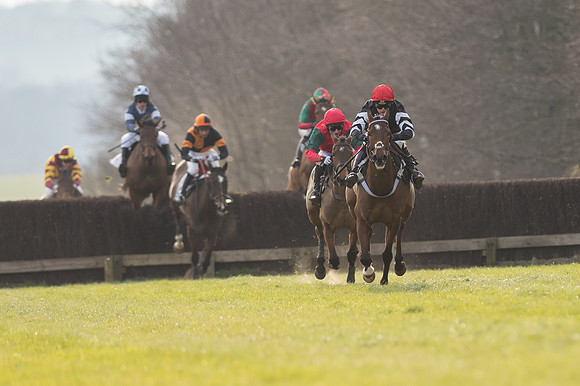 Race 5 - Restricted Race (61 of 98).jpg