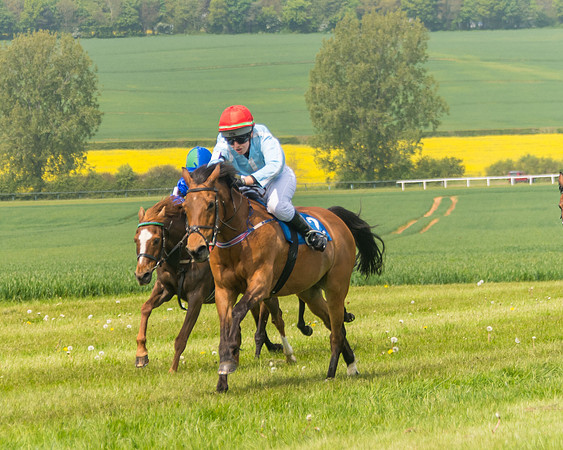 Pony Race 1 - 138cm (40 of 74)