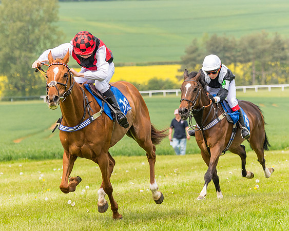 Pony Race 2 - 148cm (94 of 142)