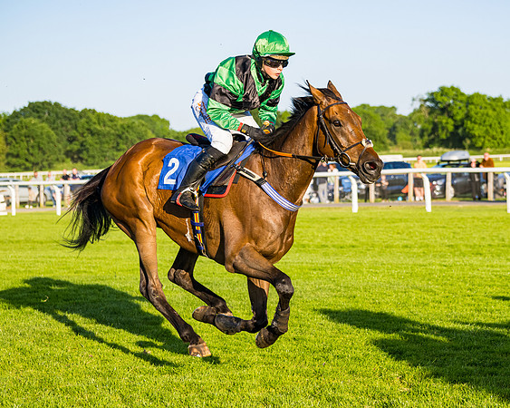 Race 5 - Whitw Swan Handicap (12 of 67)