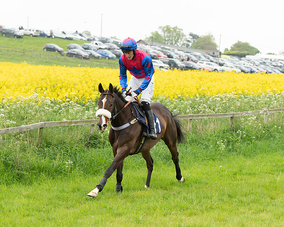 Race 2 - Five and Over restricted (23 of 136)