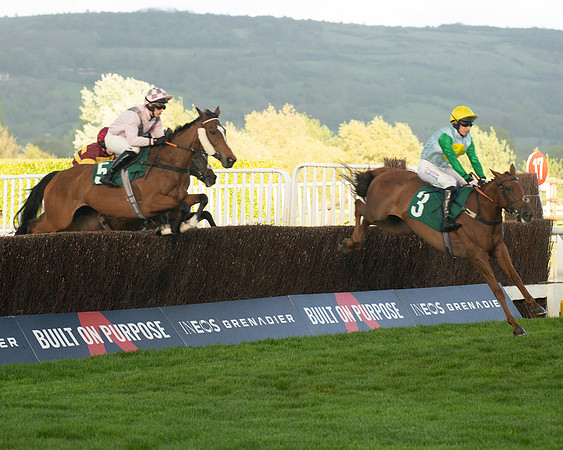 Race 5 - Mares Open  (83 of 329)