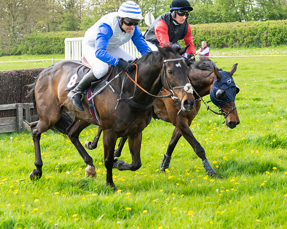 Race 2 - Veteran Horse  (76 of 82)