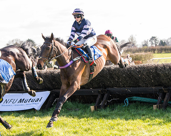 Race 5 - The Waverton Investment Management Ltd Restricted Race farmers and subscribers Race  (66 of 161)
