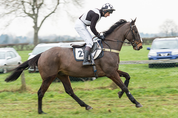 Race 6 - Open Maiden Div 2 (14 of 97).jpg