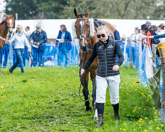 Race 2 - Veteran Horse  (12 of 82)