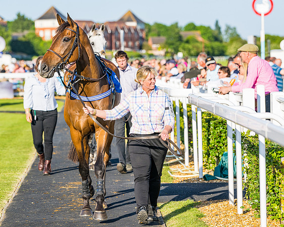 Race 4 - Foxhunters Championship (4 of 175)