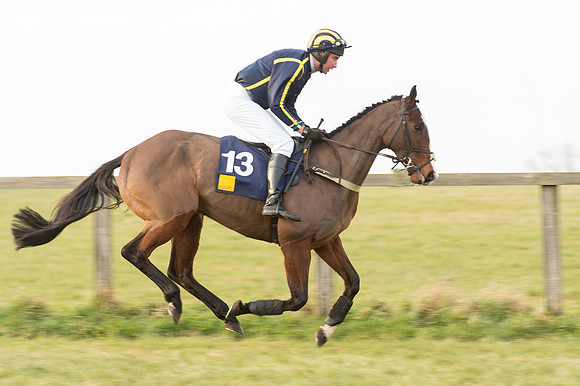 Race 6 Div 1 - Open Maiden  (21 of 116).jpg