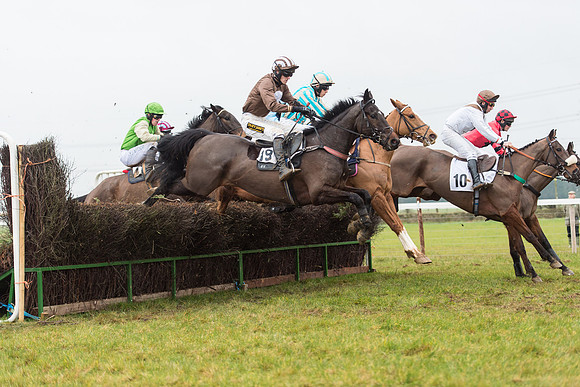 Race 6 - Open Maiden Race Div 1  (41 of 90).jpg