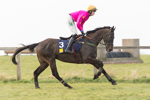 Race 6 Div 2 - Open Maiden  (31 of 131).jpg