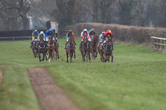 Race 7 - Young Horse Maiden  (6 of 64).jpg