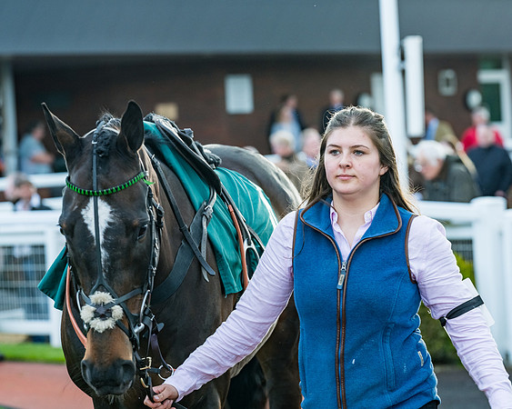 Race 5 - Mares Open  (12 of 329)