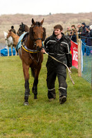 Race 1 - Div 1 - Young Horse Maiden (9 of 90).jpg