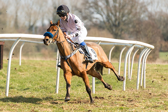 Pony Race 2 - 138 -  (27 of 28).jpg