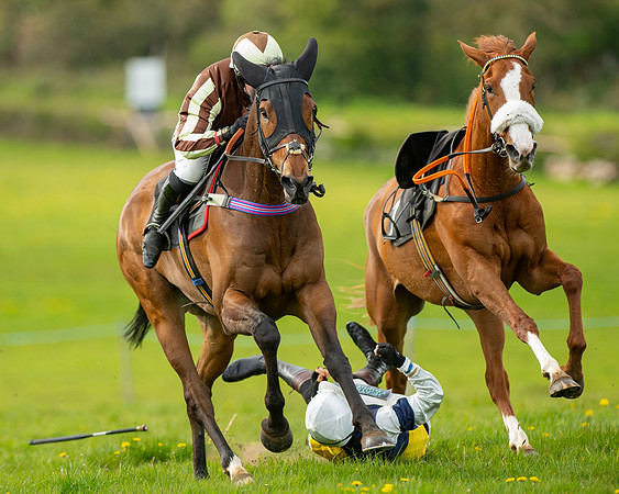 Race 5 - Open Maiden  (57 of 89)