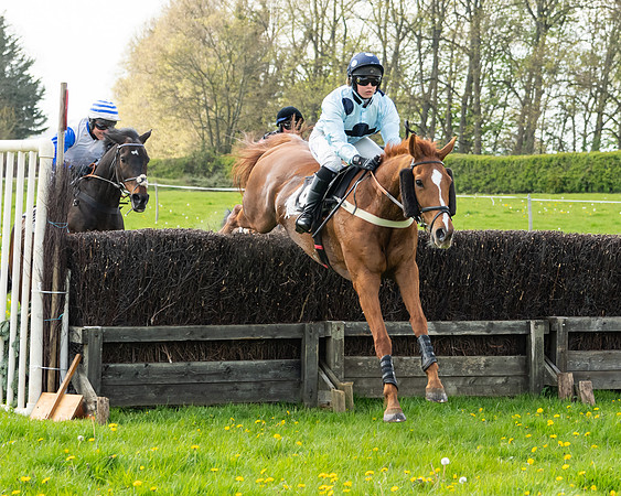 Race 2 - Veteran Horse  (61 of 82)
