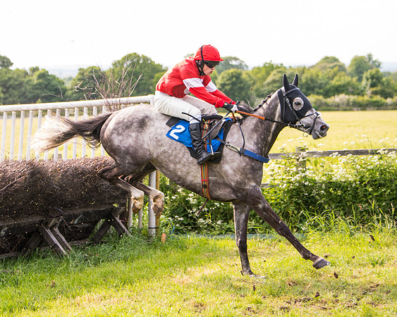 Race 6 - Open Maiden (159 of 346)