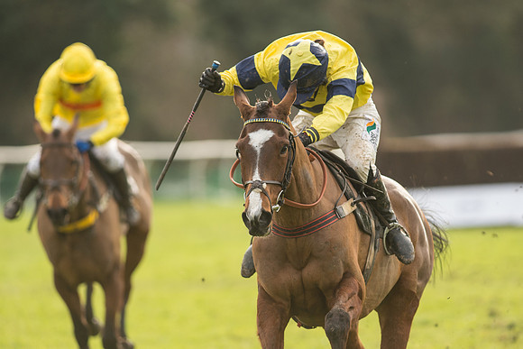 Race 5 - 2M 4F Conditions (95 of 96).jpg