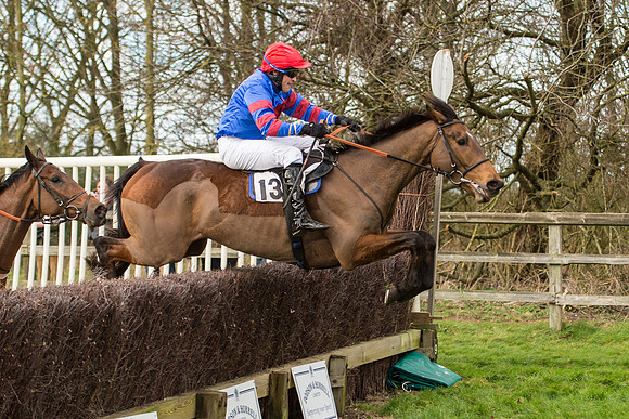 Race 2 - Young Horse Maiden (80 of 110)-2.jpg