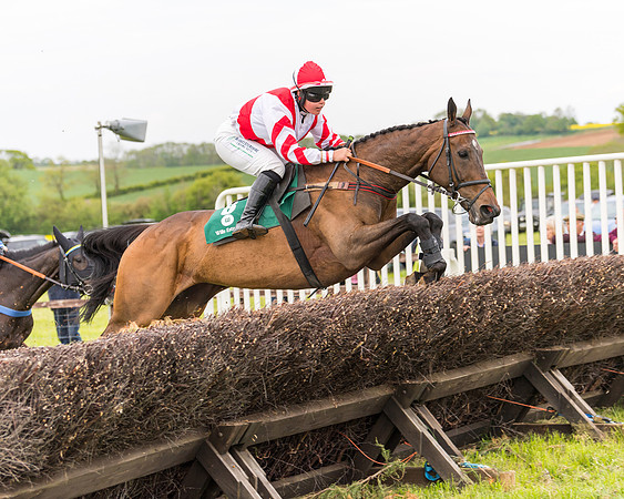 Race 7 - Veteran Horse conditions (107 of 244)