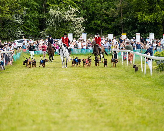 Draghounds Race (28 of 212)