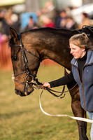 Race 4 - Novice and Veteran Riders (14 of 115).jpg