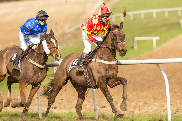 Race 3 - Kent Grand National (43 of 76).jpg