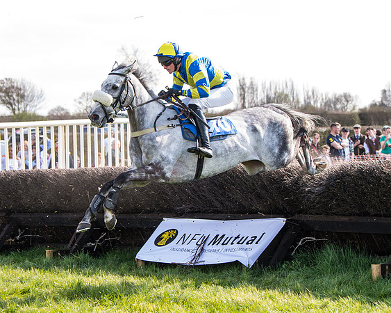 Race 4 - The Warehouse Reit Mixed Open Race  (37 of 124)