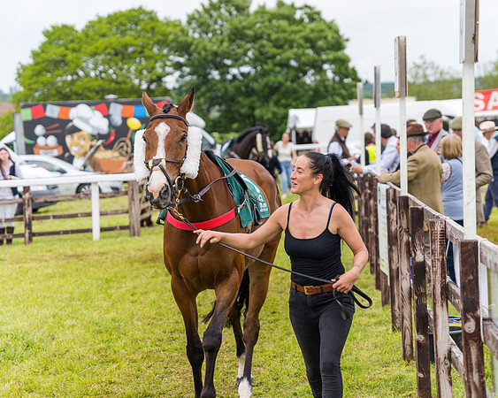 Race 7 - Veteran Horse conditions (11 of 244)