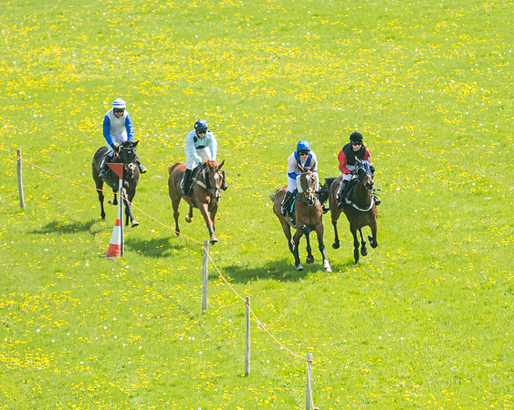 Race 2 - Veteran Horse  (28 of 82)