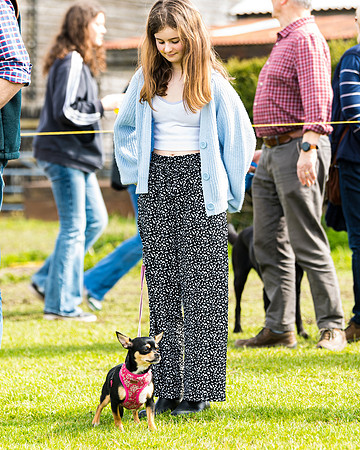 Dog show etc (120 of 157)